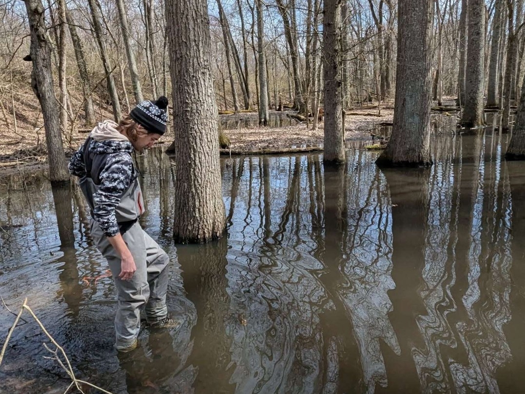 NKU Biological Sciences student walks through woods after a flood.