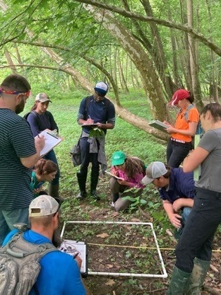 A student watches a wetland delineation lesson at NKU REFS.